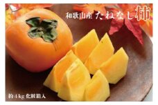 【秋の味覚】和歌山産たねなし柿2L～4Lサイズ約4kg（化粧箱入り）★2025年10月頃より順次発送【TM192】