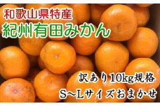 [訳あり]和歌山有田みかん約10kg(S～Lサイズいずれかお届け）★2025年11月中旬頃より順次発送［TM82］