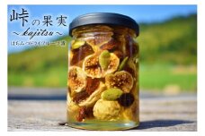 ドライフルーツの蜂蜜漬【峠の果実】 熊野古道 峠の蜂蜜×ドライフルーツ 【SW11】