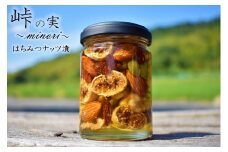 ナッツ・ドライフルーツの蜂蜜漬【峠の実】 熊野古道 峠の蜂蜜×ナッツ・ドライフルーツ 【SW61】