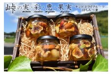 ナッツ・ドライフルーツの蜂蜜漬4種セット【峠の恵】【峠の彩】【峠の実】【峠の果実】 【SW64】