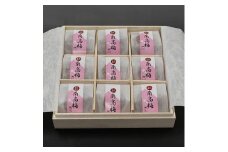 はちみつ梅干し 贈答用木箱入り 9粒個包装 [大玉]4Lサイズ 紀州南高梅　うめぼし 紀伊国屋文左衛門本舗(高野町)【TC18】
