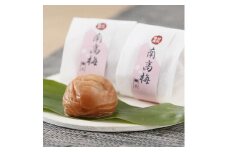 はちみつ梅干し 贈答用木箱入り 18粒個包装[大玉]4L 紀州南高梅 うめぼし 紀伊国屋文左衛門本舗【TC20】
