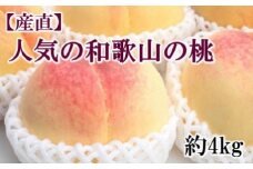 【産直・人気の特産品】和歌山の桃　約4kg・秀選品★2025年6月下旬～8月中旬頃順次発送★【TM168】