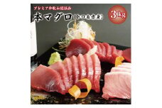プレミア和歌山認証品 本マグロ（養殖）トロ＆赤身セット　3kg［KS14］