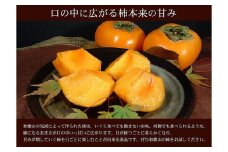 和歌山の種なし柿　約7.5kg（秀品：サイズ・品種おまかせ）／紀伊国屋文左衛門本舗［TC4］