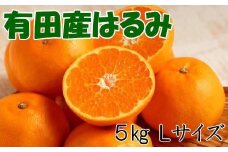 ［厳選・濃厚］紀州有田産のはるみ約5kg(Lサイズ) ★2026年1月下旬頃より順次出発送［TM28］