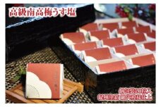 高級南高梅うす塩個包装20粒入 紀州塗箱 網代模様仕上 【SW81】