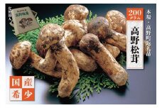 【2025年発送分】香り・歯応え・味ともに最高級！希少な国産松茸「高野松茸」200g【化粧箱入】