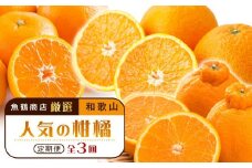 ［魚鶴商店厳選］和歌山人気の柑橘定期便（有田みかん・不知火・清見オレンジ）［定期便全3回］［UT116］