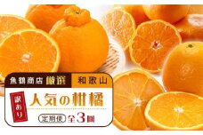 ［魚鶴商店厳選］和歌山人気の柑橘ご家庭用・訳あり定期便（みかん・不知火・清見オレンジ）［定期便全3回］［UT117］