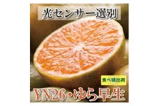 ＜9月より発送＞ 家庭用 極早生 有田みかん 4.5kg+135g（傷み補償分）YN26 ゆら早生 訳あり わけあり ［IKE165］