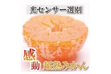 ＜11月より発送＞ 家庭用 超熟有田 みかん4kg+120g（傷み補償分）訳あり
