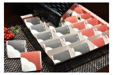 【ギフト用】高級南高梅うす塩・邑咲（昆布旨味）個包装計20粒入 紀州塗箱 網代模様仕上 【SW78】