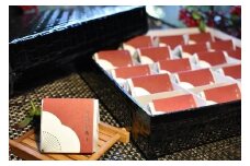 【ギフト用】高級南高梅うす塩個包装20粒入 紀州塗箱 網代模様仕上【SW81】