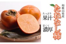 ＜10月より発送＞たねなし柿 約2.5kg［刀根早生・平核無柿（ひらたねなしかき）］［カキ・種無柿・種無し柿・種なし柿・無核柿］［IKE95］