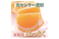 ＜4月より発送＞ 家庭用 樹上完熟 はっさく5kg+150g（傷み補償分） 八朔 訳あり わけあり さつき 木成 ［IKE35］