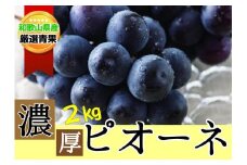 【甘さとみずみずしさが自慢】種なしピオーネ＜ぶどう約２kg＞★8月下旬から9月中旬発送★【KF10】