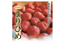 特選☆いちご【まりひめ】1月中旬から5月上旬まで発送【KF9】