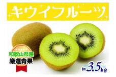 和歌山の太陽のめぐみたっぷり　キウイフルーツ(約３.５kg)★11月下旬～12月上旬発送★
