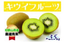 和歌山の太陽のめぐみたっぷり　キウイフルーツ(約３.５kg)★11月下旬～12月上旬発送★