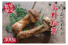 先行予約 国産松茸 約300g 数量限定 香り高く希少【和歌山県高野町産】【2025年9月下旬～11月上旬発送】