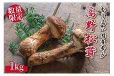 先行予約 国産松茸 約1kg 数量限定 香り高く希少【和歌山県高野町産】【2025年9月下旬～11月上旬発送】