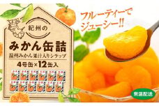 【2025年3月中旬より発送予定】紀州のみかん缶詰（みかん果汁入りシラップ）　12缶セット【KF5】
