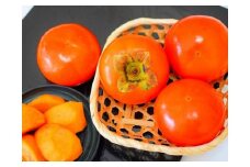 和歌山 の 富有柿 約7.5kg (ご家庭用)（fr-04）【秋の美味】【先行予約】【訳あり】