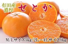 一度は食べていただきたい「有田産のせとか」約4～5kg（サイズおまかせ）★2026年2月中旬頃より順次発送［TM138］