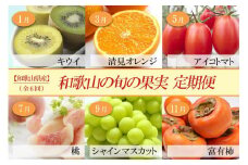 和歌山の旬の果実を 奇数月にお届け全6回定期便【TM49】