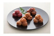 【全２回定期便】幸いろいろ（B)  梅干 食品 加工食品