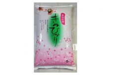きぬひかり 精米 ５kg×２袋【令和5年産】（発送日前日精米）