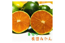青切り 有田みかん  2S ～L サイズ混合  和歌山県産 4kg【先行予約】【発送時期：2023年9月中旬～2023年10月中旬】