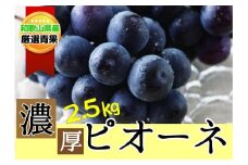 種なし ピオーネ 約2.5kg ぶどう　和歌山産  【甘さとみずみずしさが自慢】 ★8月下旬以降発送★