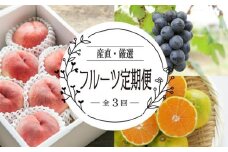 【定期便全3回】産直・厳選フルーツ定期便【TM190】