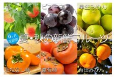 【定期便全6回】夏・秋の新鮮フルーツ定期便 ［TM203］