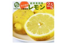 ［ご家庭用訳あり］ 紀州有田産レモン 2.5kg［2026年3月上旬以降発送］［先行予約］［UT46］