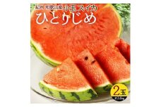 紀州和歌山産 小玉スイカ「ひとりじめ」 2玉【2026年6月中旬頃～2026年7月上旬頃に順次発送】【UT86】