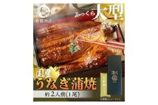 大型サイズ　ふっくら柔らか　国産うなぎ蒲焼き　１尾（約2人前）化粧箱入［夏土用の丑の日のうなぎ］［10月23日までにお届け］［UT04］