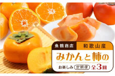 【10・11・12月 全3回】和歌山産 みかんと柿のお楽しみ 定期便 【魚鶴商店】【UT111】