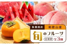 【6・8・10月 全3回】和歌山産 旬のフルーツのお楽しみ 定期便 【魚鶴商店】【UT112】
