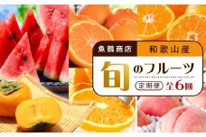 【2・4・6・8・10・12月 偶数月発送 全6回】和歌山産 旬のフルーツ お楽しみ 定期便 【魚鶴商店】【UT113】