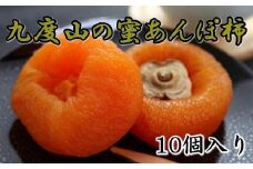 ［無添加］九度山あんぽ柿「蜜あんぽ」大きめサイズ10袋入り★2025年12月中旬頃より順次発送［TM117］