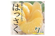 【訳あり】 八朔 約7kg 【2月上旬から3月上旬頃発送】【KF1】