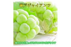 紀州かつらぎ山の瀬戸ジャイアンツ 約2kg［2025年8月中旬以降発送予定］［UT30］