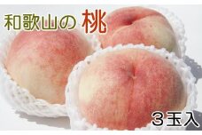 【産直・人気の特産品】和歌山の桃 3玉入り 約700g  ★2025年6月下旬から8月中旬頃順次発送★【TM93】