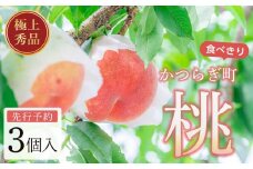 桃 極上秀品 食べきりやすい３個入 ［先行予約］［2026年6月下旬頃より順次発送］こだわり農家厳選！［KG1］