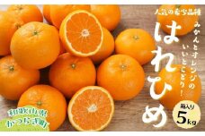 はれひめ（ミカンの希少種） 秀品  約5ｋｇ（25個～30個入）［先行予約］［2025年12月中旬頃から発送］［KG3］