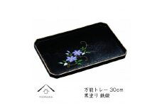 万能トレー 黒 鉄線 30cm【YG276】